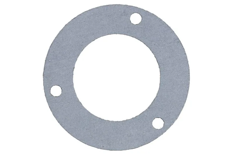 98400782 Inel etansare, injector FPT