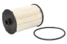 5802745114 Filtru combustibil FPT