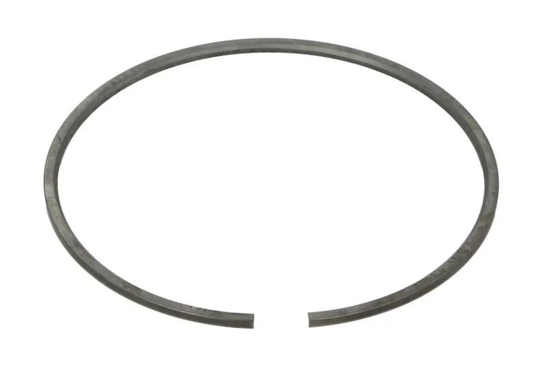 Segment piston