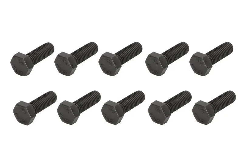 1321-0509 SET 10 Surub ANAC MAKINA