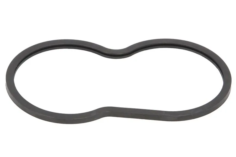 Garnitura termostat