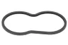 Garnitura termostat
