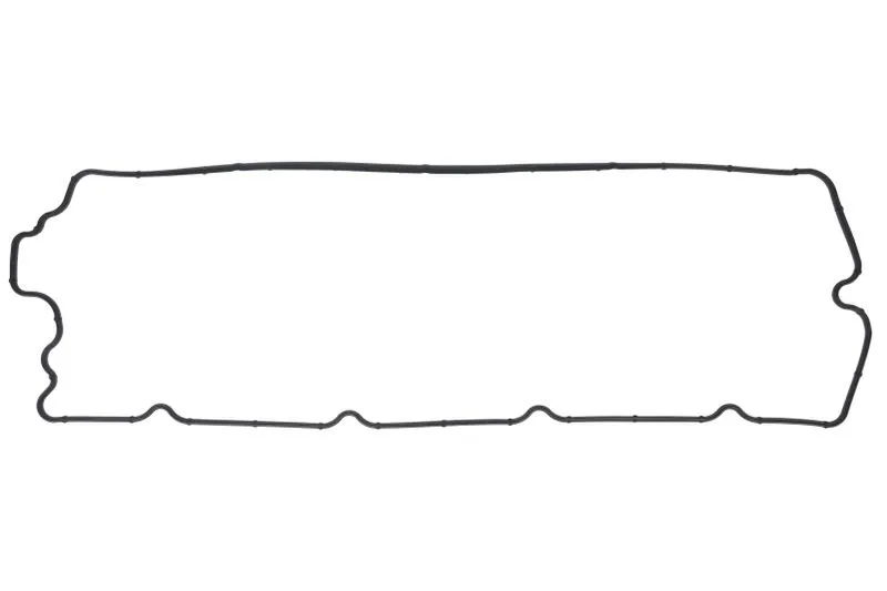 4946239 Garnitura, capac supape FP DIESEL