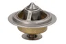 TBS1002.82 Termostat,lichid racire CALORSTAT BY VERNET