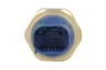 373498 Comutator presiune CARRARO