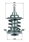 Termostat,lichid racire