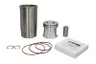 RE507920-FP Set raparatii, piston/bucsa cursa cilindru FP DIESEL