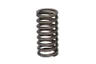 2941688-FP Arc supapa FP DIESEL